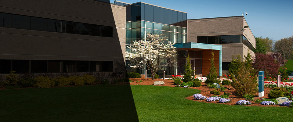 Festus Landscapers