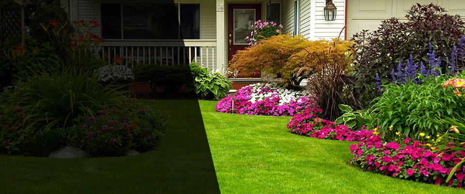 Festus Landscapers
