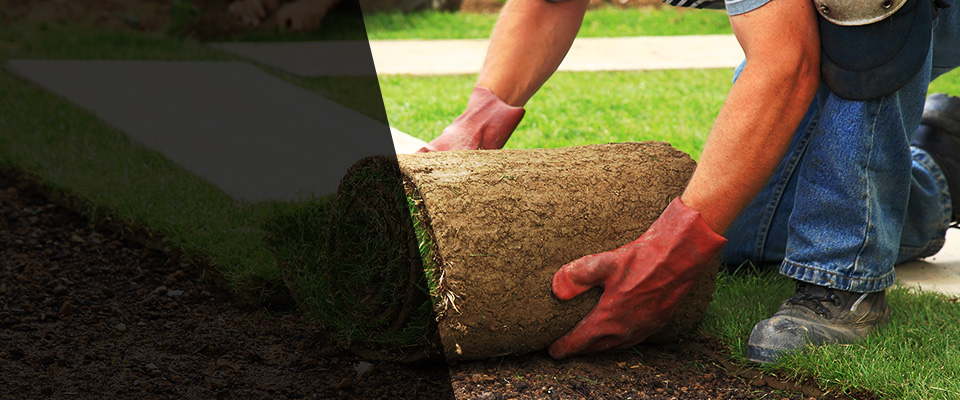 Festus Landscapers
